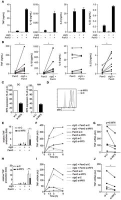 FcγR-TLR Cross-Talk Enhances TNF Production by Human Monocyte-Derived DCs via IRF5-Dependent Gene Transcription and Glycolytic Reprogramming